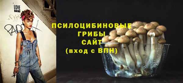 винт Алексеевка
