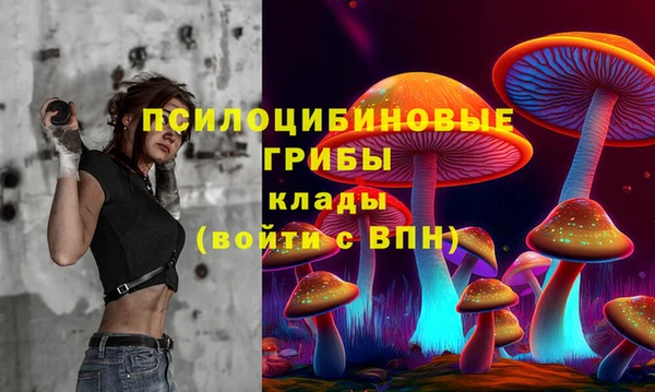 прущий лед Алексин