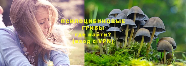 прущий лед Алексин